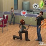 The Sims